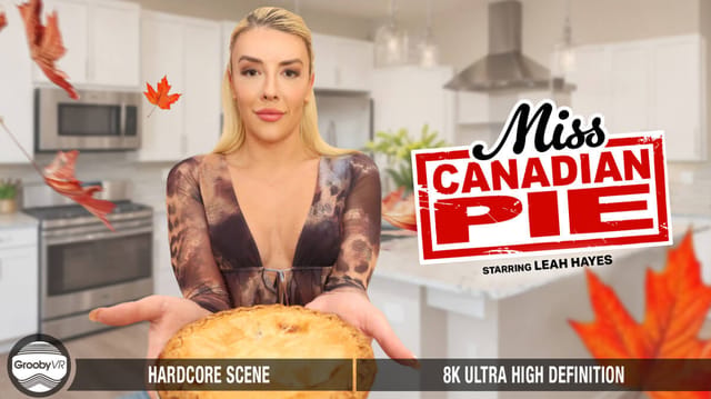 Leah Hayes gives a blowjob and handjob while receiving anal in this GroobyVR adult VR POV video with 60 FPS passthrough.