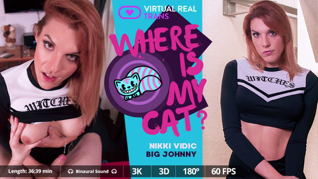 Brunette Nikki Vidic performs a blowjob in VirtualRealTrans VR 4K 180 degree premium content