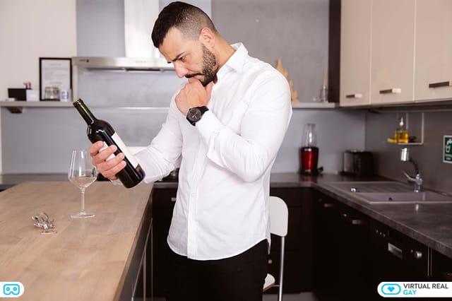 Sommelier Francisco Ranniero VirtualRealGay — photo 5