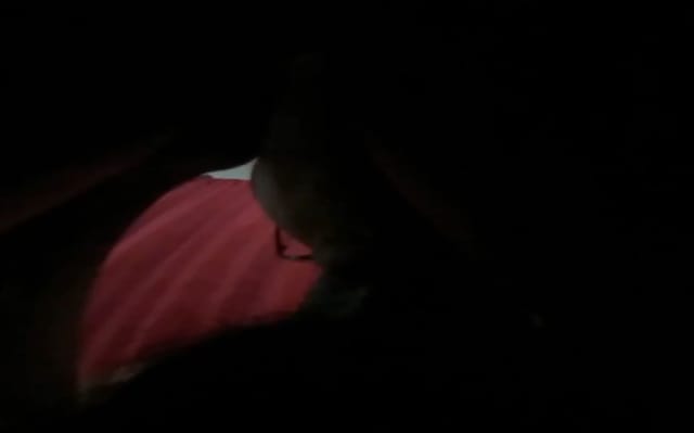 Cuckolding Giantess Blowjob Jane Judge — photo 3