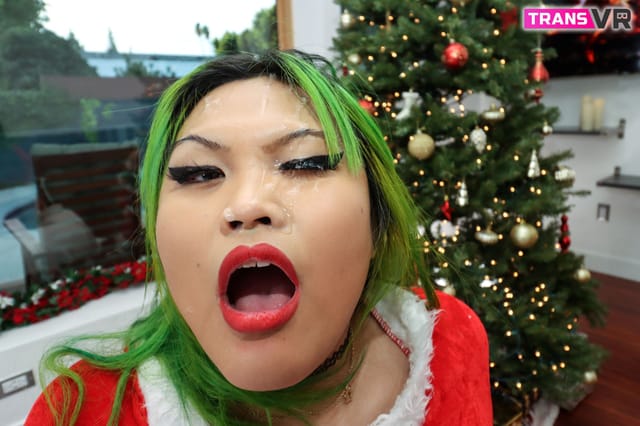 I Fucked Mrs Claus Genesis Green TransVR — photo 8