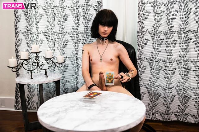 The Tarot Reading Spite TransVR — photo 19