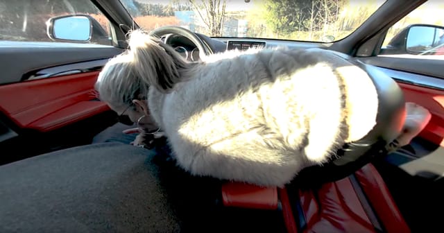 Sabdeluxe - Car Footjob Sabdeluxe VR — photo 5